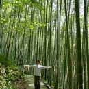 成都阳平玄观 - 成都市旅游 缩略图 5