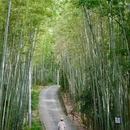 成都阳平玄观 - 成都市旅游 缩略图 7