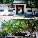墨池公园 - 温州市旅游 缩略图 7
