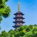 墨池公园 - 温州市旅游 缩略图 9