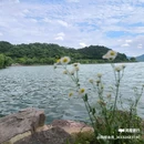 东钱湖旅游度假区 - 宁波旅游 缩略图 3