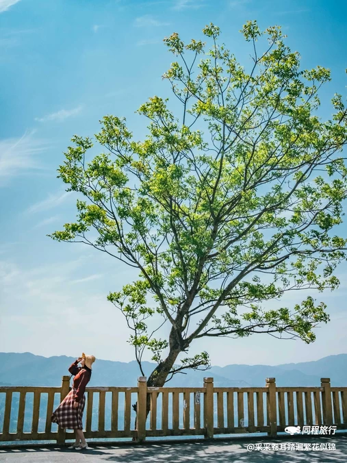 绿树格梯田景区 - 红河哈尼族彝族自治州旅游