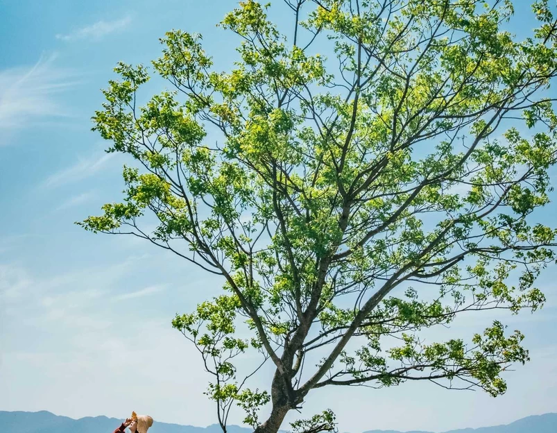 绿树格梯田景区 - 红河哈尼族彝族自治州旅游 1