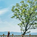 绿树格梯田景区 - 红河哈尼族彝族自治州旅游 缩略图 7