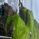 法罗群岛 - 丹麦旅游 缩略图 4