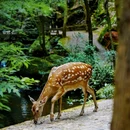青龙峡风景区 - 昆明市旅游 缩略图 5