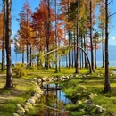 大理古城 - 大理白族自治州旅游 缩略图 2