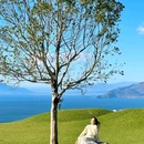 大理古城 - 大理白族自治州旅游 缩略图 4