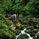 龙苍沟叠翠溪景区 - 雅安市旅游 缩略图 5