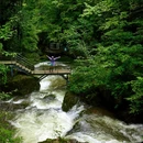 龙苍沟叠翠溪景区 - 雅安市旅游 缩略图 1