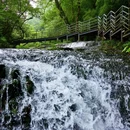 龙苍沟叠翠溪景区 - 雅安市旅游 缩略图 8