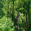 龙苍沟叠翠溪景区 - 雅安市旅游 缩略图 7