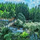 仙峰山 - 宜宾市旅游 缩略图 2