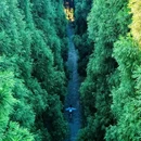 仙峰山 - 宜宾市旅游 缩略图 3