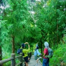 仙峰山 - 宜宾市旅游 缩略图 6