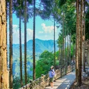 仙峰山 - 宜宾市旅游 缩略图 7
