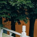 伴山伴水酒店 - 长沙市旅游 缩略图 3