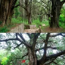 拦马墙 - 广元市旅游 缩略图 7
