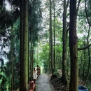 钟鼎寺自驾露营地 - 德阳市旅游 缩略图 2