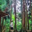 钟鼎寺自驾露营地 - 德阳市旅游 缩略图 3