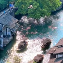 乌镇西栅景区1号游客服务中心 - 嘉兴市旅游 缩略图 5