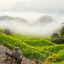云和梯田景区 - 丽水市旅游 缩略图 3