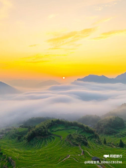 云和梯田景区 - 丽水市旅游