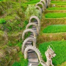 云和梯田景区 - 丽水市旅游 缩略图 6