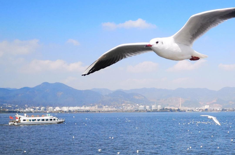 2天1晚·昆明自由行(单程机票)