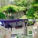狮子林景区 - 苏州市旅游 缩略图 4