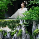 狮子林景区 - 苏州市旅游 缩略图 8