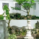 狮子林景区 - 苏州市旅游 缩略图 9