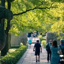 明孝陵景区 - 南京市旅游 缩略图 8