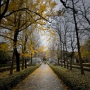 明孝陵景区 - 南京市旅游 缩略图 7