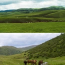 阿拉木图州 - 哈萨克斯坦旅游 缩略图 4