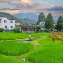 西递古村景区 - 黄山市旅游 缩略图 2