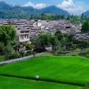 西递古村景区 - 黄山市旅游 缩略图 4