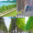 武汉体育中心(东广场) - 武汉市旅游 缩略图 7