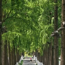 听涛景区 - 武汉市旅游 缩略图 1