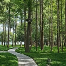 听涛景区 - 武汉市旅游 缩略图 5