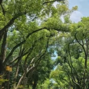 听涛景区 - 武汉市旅游 缩略图 2