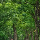 听涛景区 - 武汉市旅游 缩略图 7