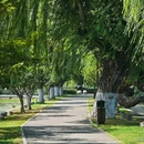 听涛景区 - 武汉市旅游 缩略图 9