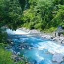 二郎山喇叭河景区游客中心 - 雅安市旅游 缩略图 5