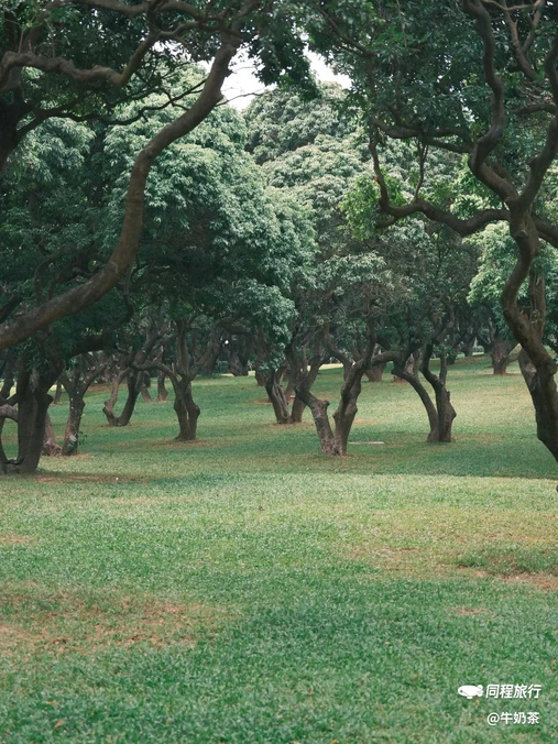 中山公园 - 深圳市旅游