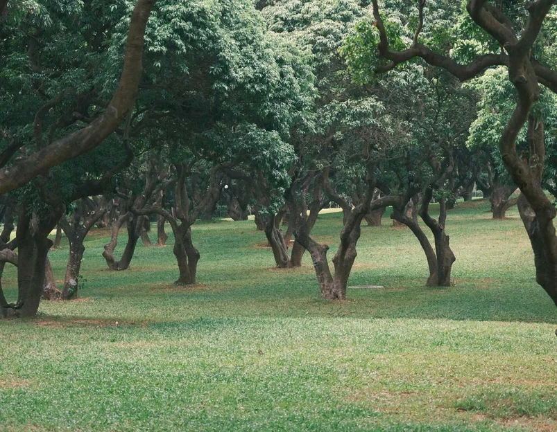 中山公园 - 深圳市旅游 1