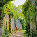 渌洋湖湿地公园 - 扬州市旅游 缩略图 7