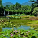国家植物园 - 北京市旅游 缩略图 3