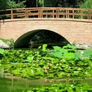 国家植物园 - 北京市旅游 缩略图 9
