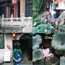 万景楼 - 深圳市旅游 缩略图 3